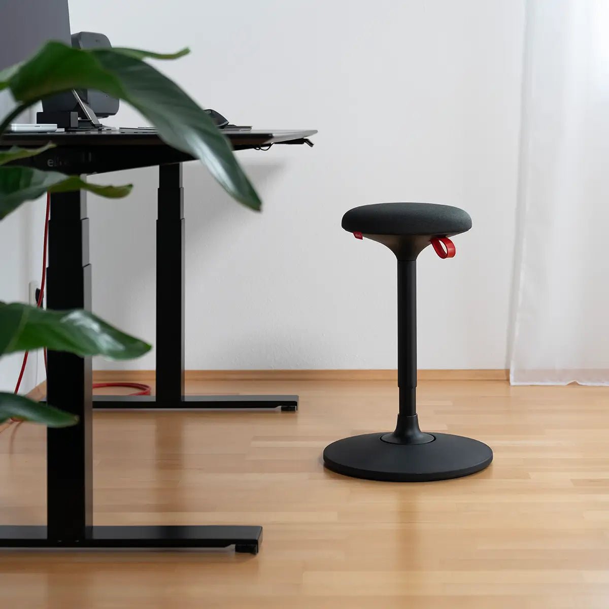 Lio Plus Black - Eliot Onlineshop