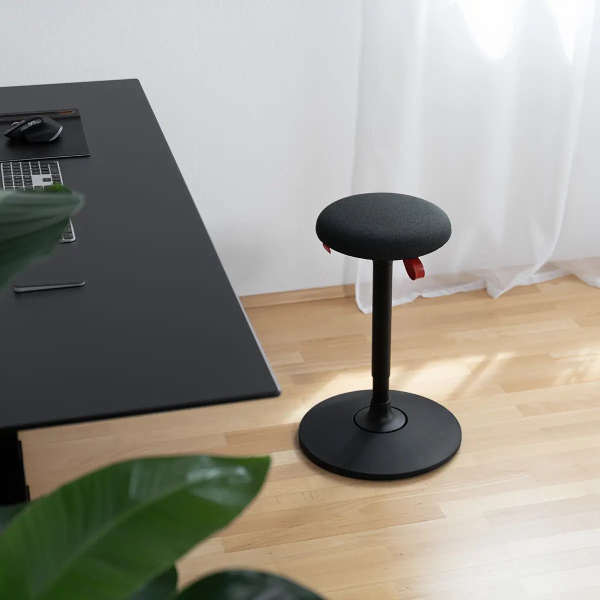 Lio Plus Black - Eliot Onlineshop